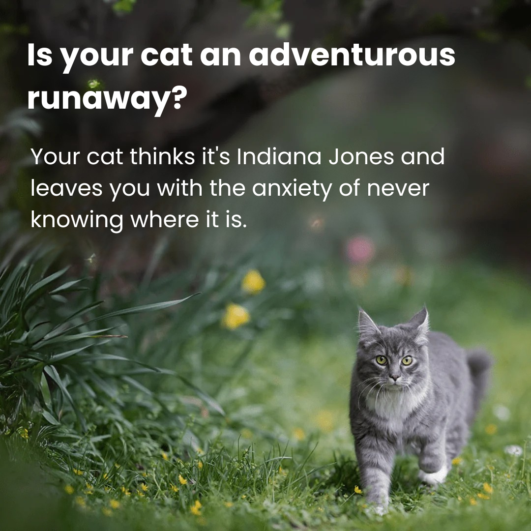 PawGuard™ – Discreet No-Subscription GPS Tracker for Pets