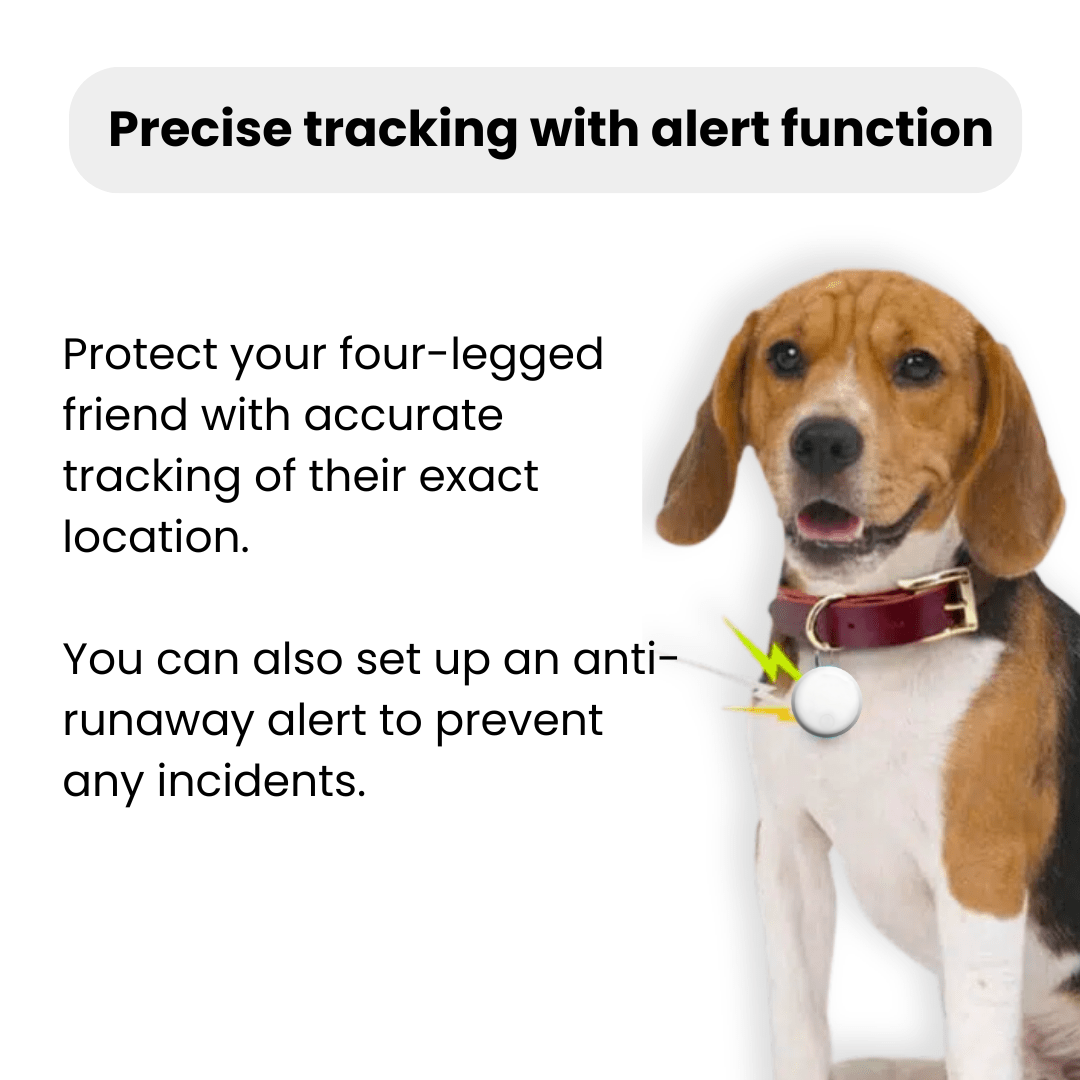 PawTrack™ – Discreet No-Subscription GPS Pet Tracker