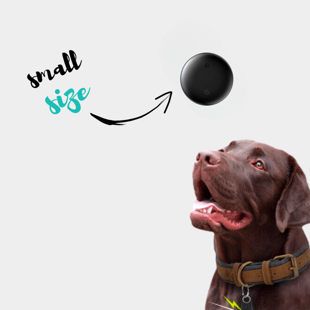 PawTrack™ – Discreet No-Subscription GPS Pet Tracker