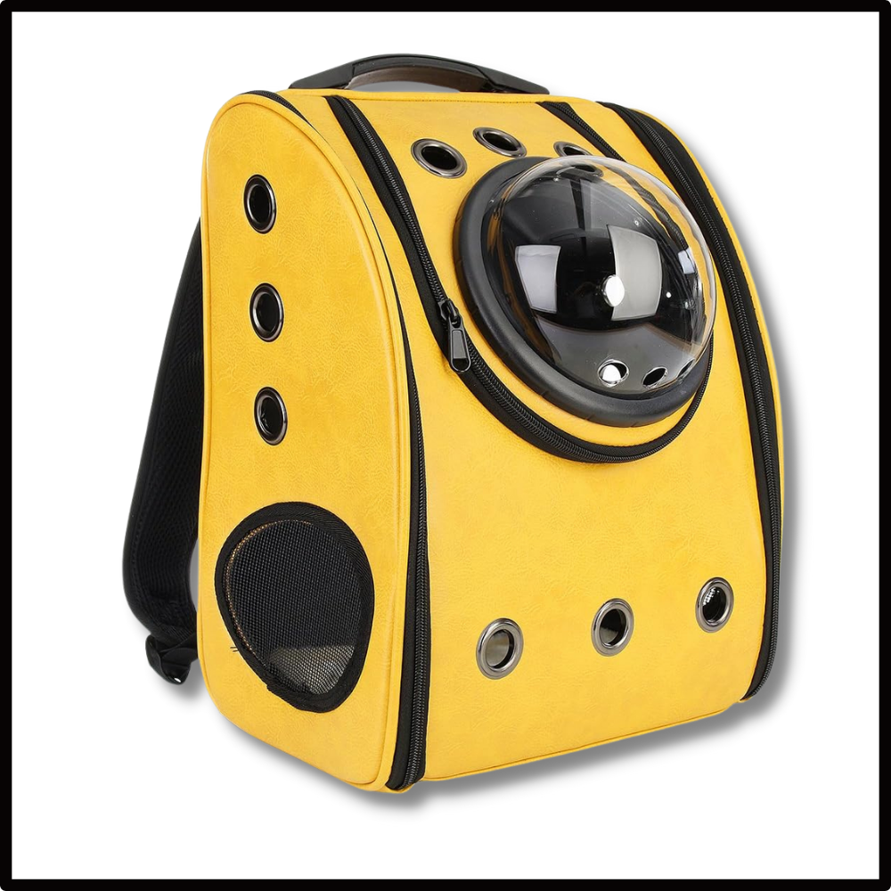 Cat Travel Backpack