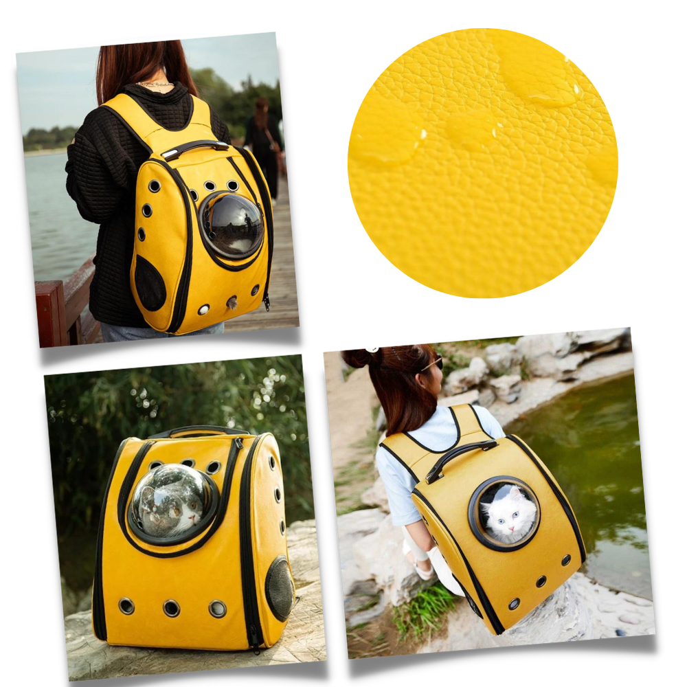 Cat Travel Backpack