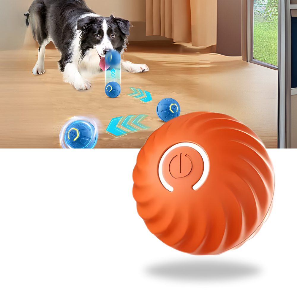 Obstacle Avoidance Dog Ball