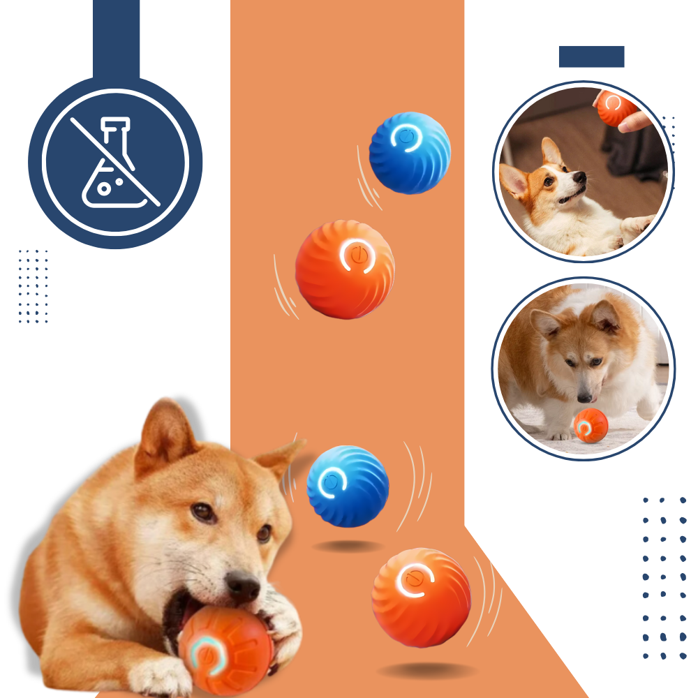 Obstacle Avoidance Dog Ball