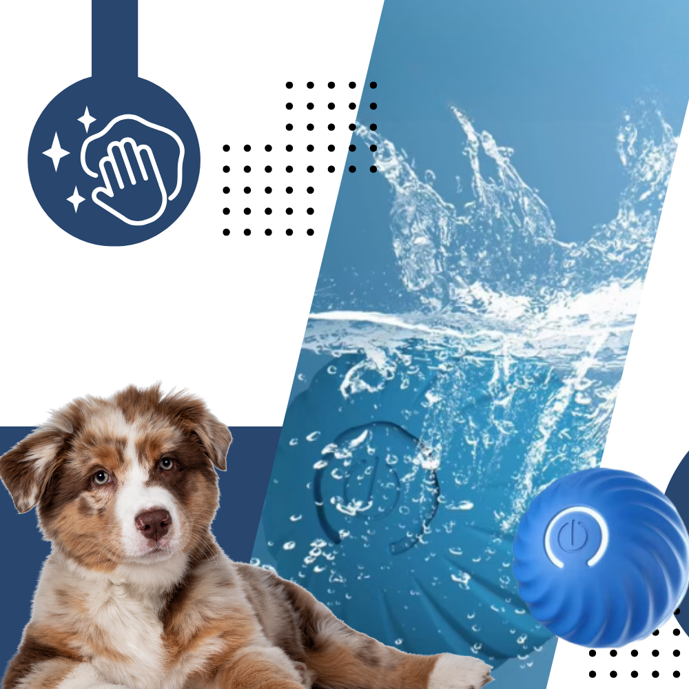 Obstacle Avoidance Dog Ball