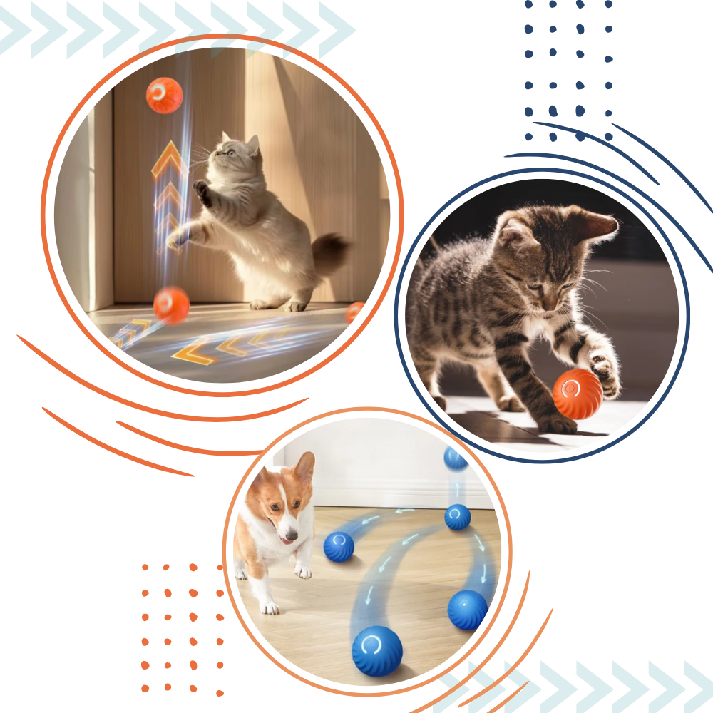 Obstacle Avoidance Dog Ball