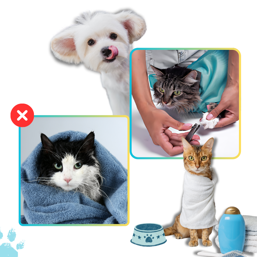 Serene Journey Cat Travel Bag