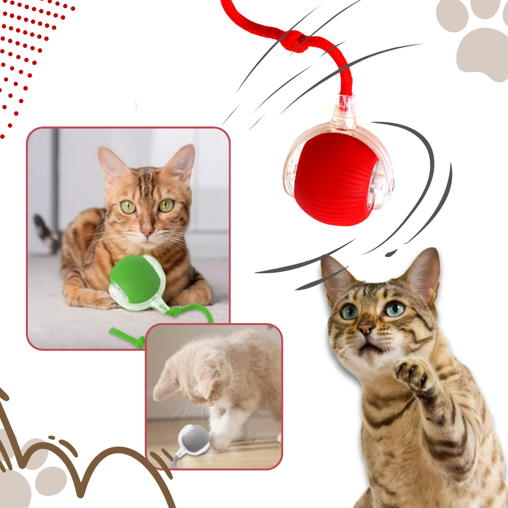 Smart Interactive Cats Ball Toy