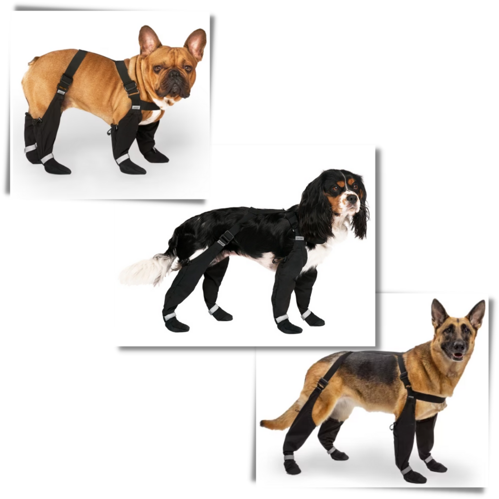 Waterproof Dog  Suspenders Boots