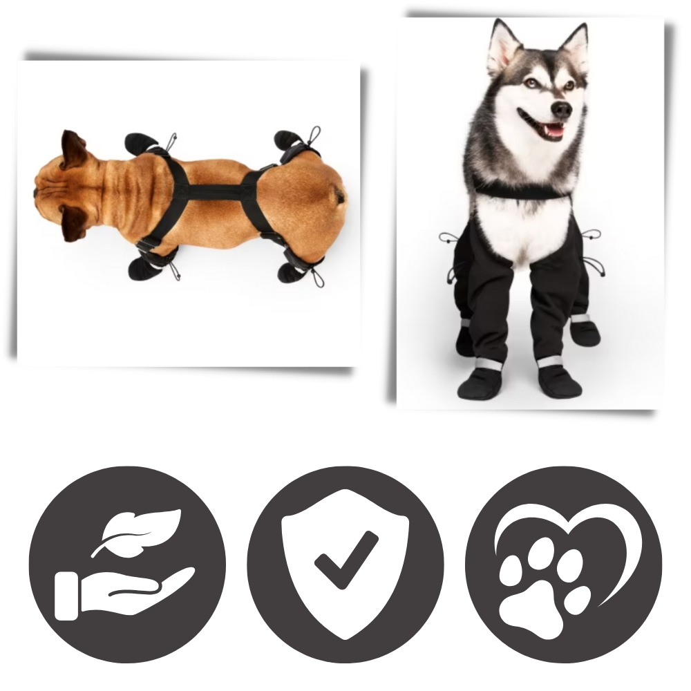 Waterproof Dog  Suspenders Boots