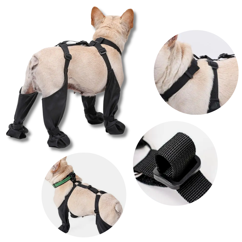 Waterproof Dog  Suspenders Boots