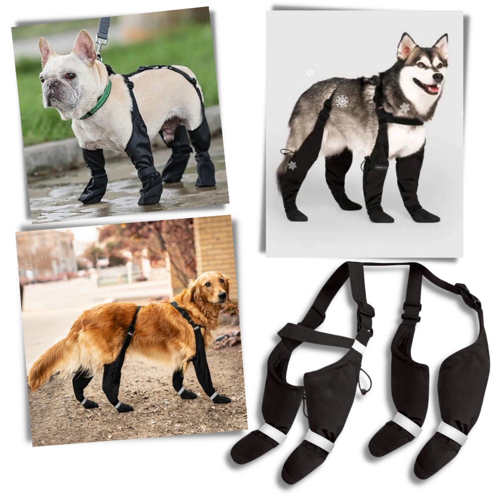 Waterproof Dog  Suspenders Boots
