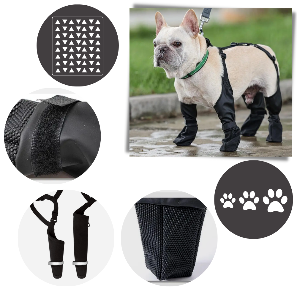 Waterproof Dog  Suspenders Boots